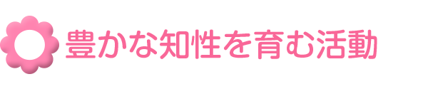 豊かな知性を育む活動